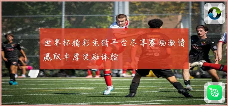 世界杯精彩竞猜平台尽享赛场激情赢取丰厚奖励体验