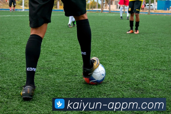 开云APP官方下载：全新体验与功能，轻松畅享购物与服务